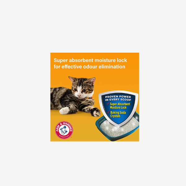 Arm & Hammer Cat Litter Deodizer with Activated Baking Soda2